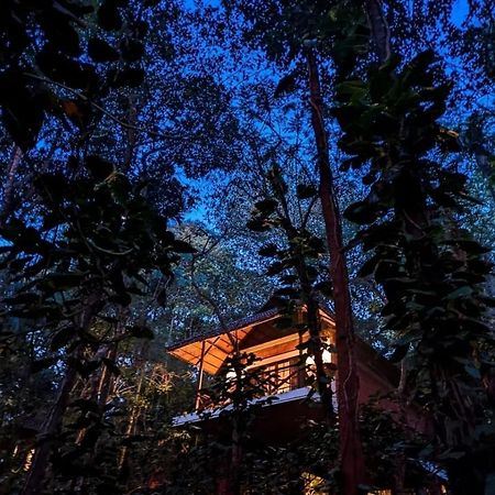 Coffee Acres Resort Kalpatta Ngoại thất bức ảnh