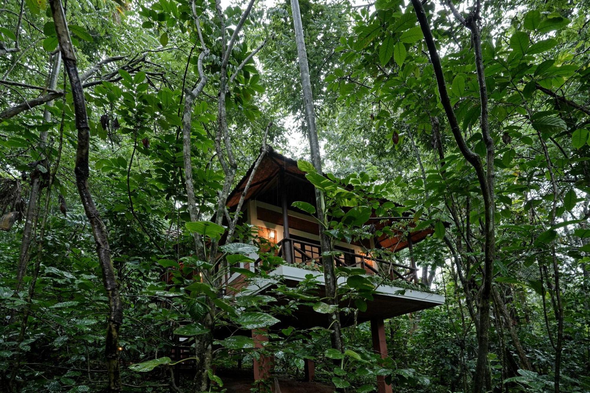 Coffee Acres Resort Kalpatta Ngoại thất bức ảnh