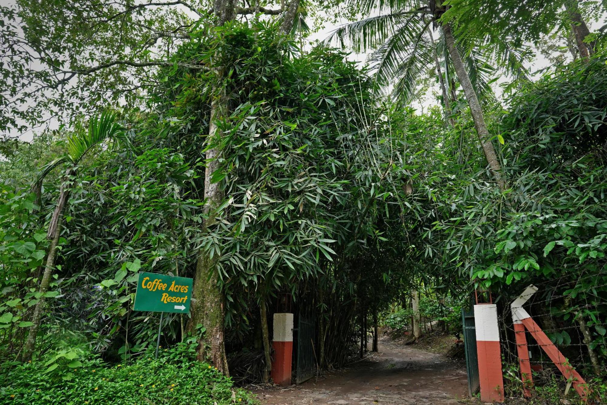 Coffee Acres Resort Kalpatta Ngoại thất bức ảnh