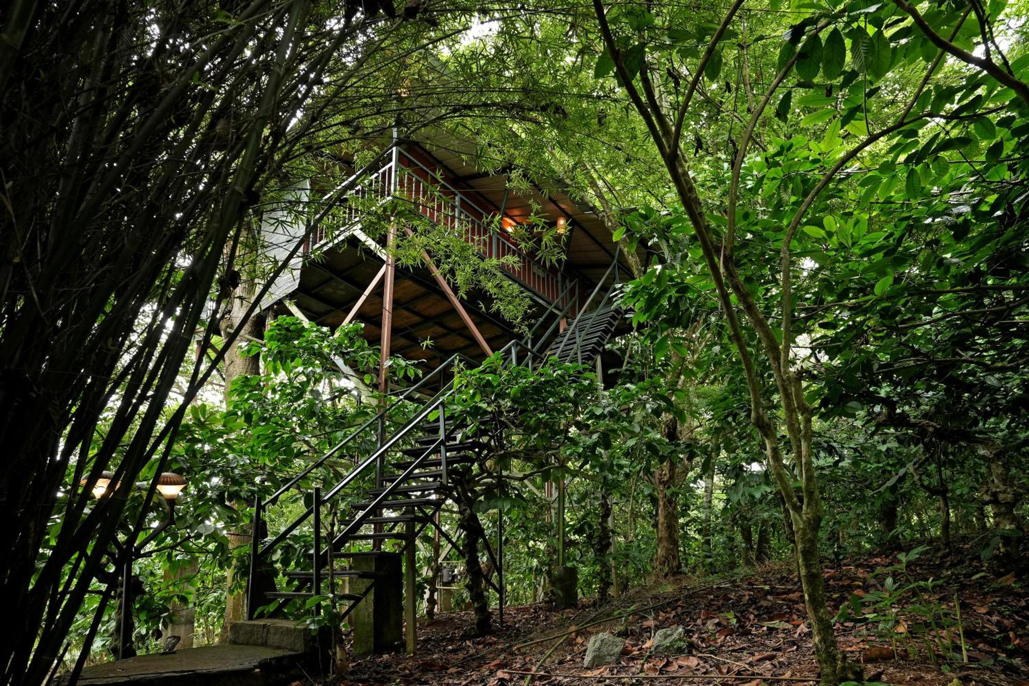 Coffee Acres Resort Kalpatta Ngoại thất bức ảnh