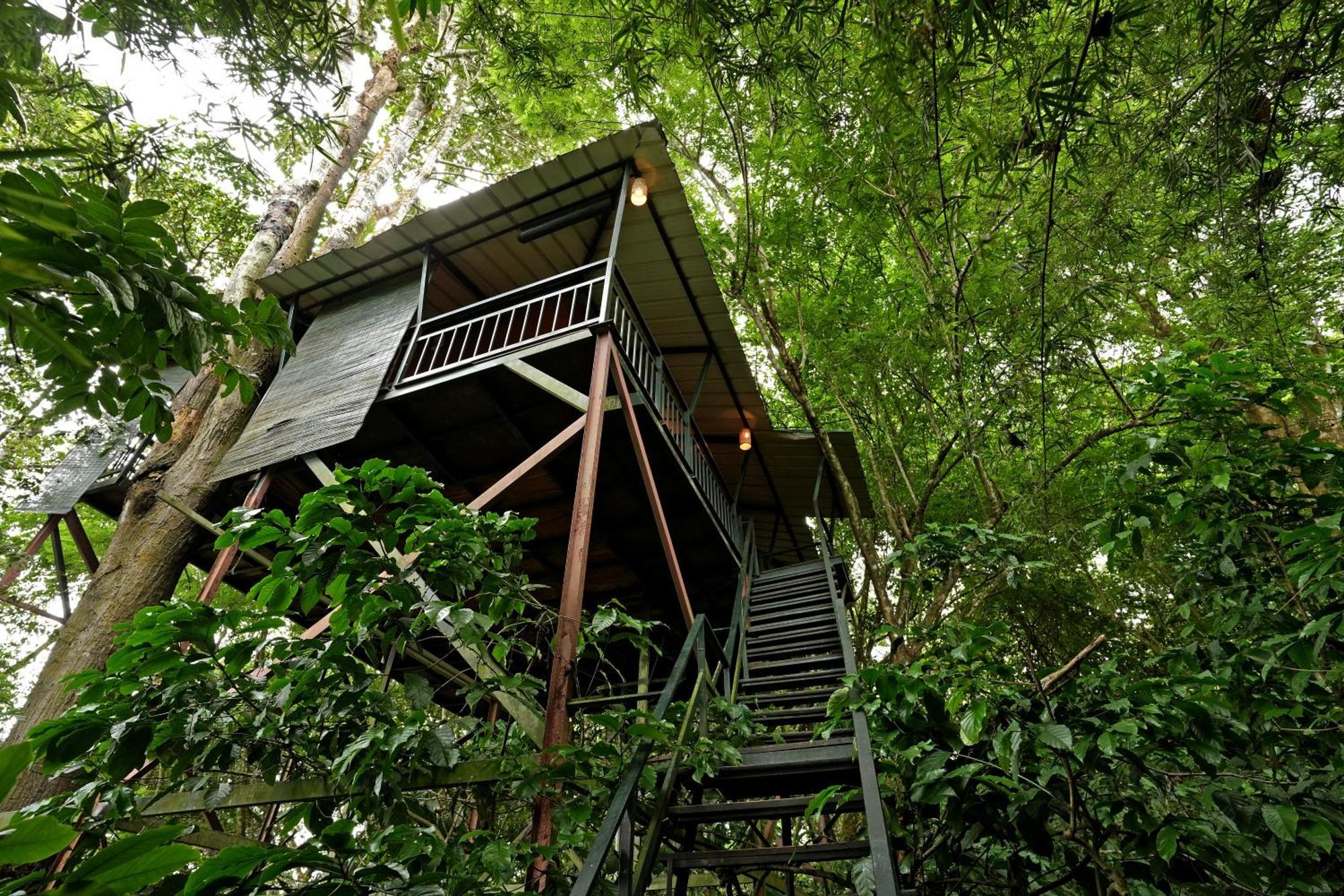 Coffee Acres Resort Kalpatta Ngoại thất bức ảnh